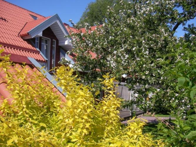 Apartamentai Obelyne Palanga Exteriör bild