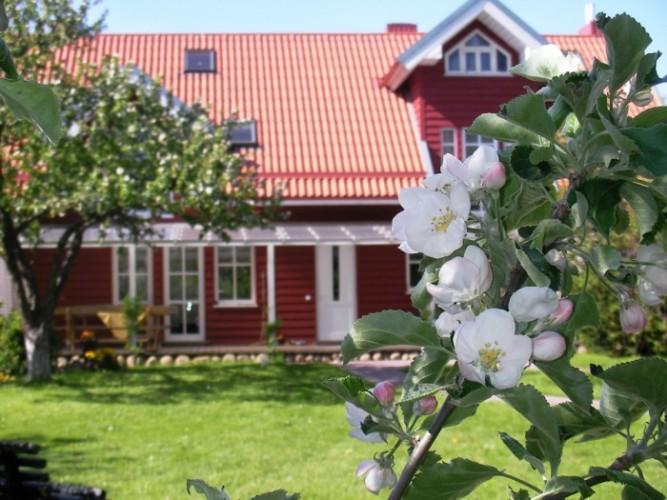 Apartamentai Obelyne Palanga Exteriör bild