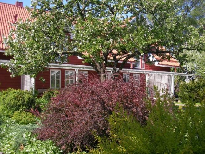 Apartamentai Obelyne Palanga Exteriör bild